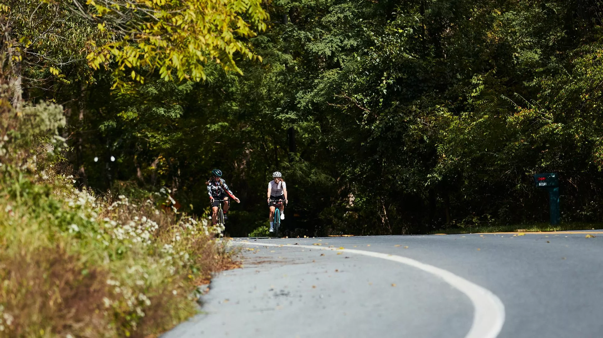 Negozio Biciclette economico -Negozio Biciclette economico 25