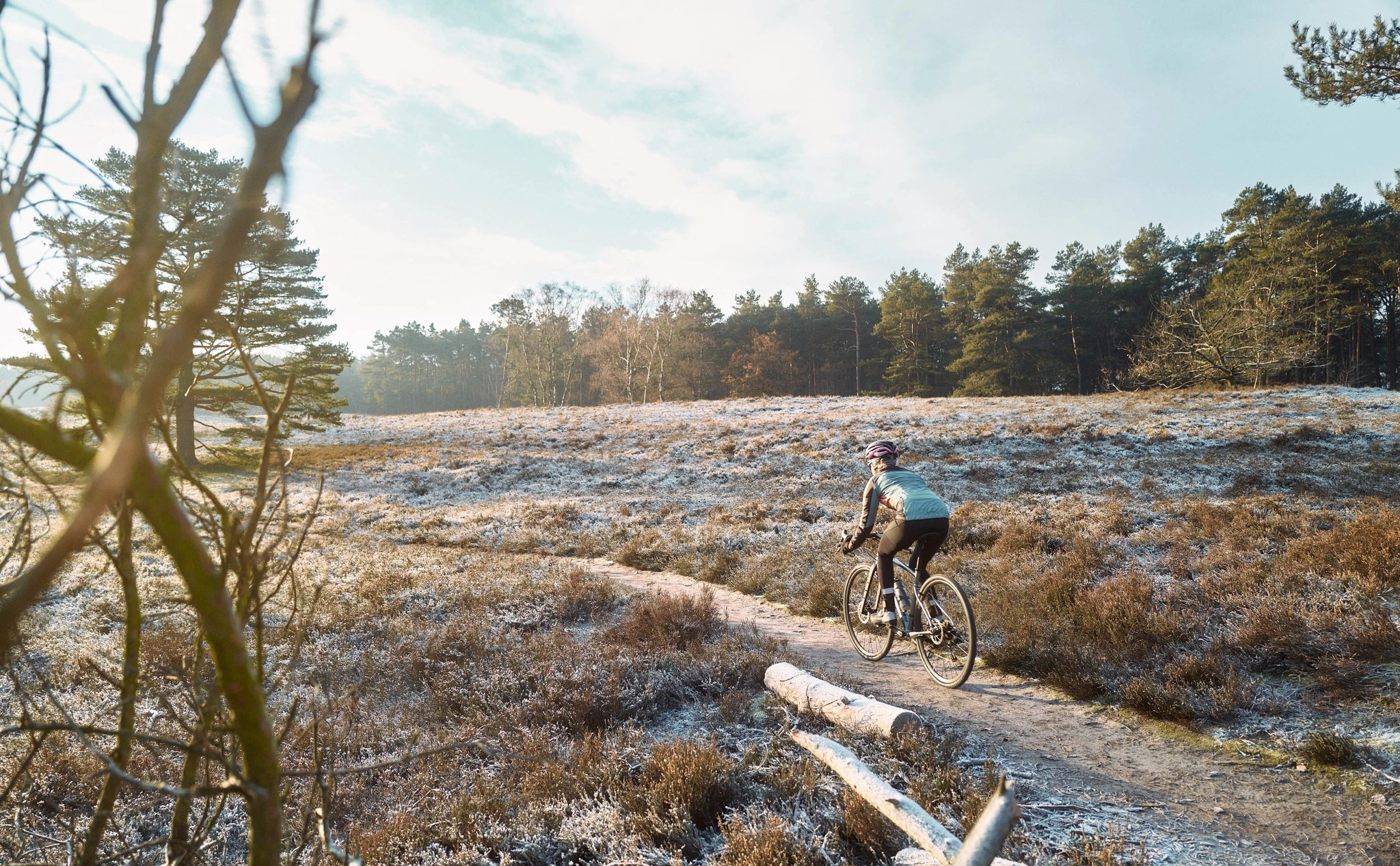 Negozio Biciclette economico -Negozio Biciclette economico 321955993 851562389430367 8421244579456016195 n