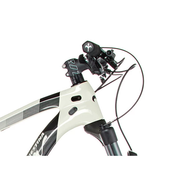 MTB WILIER TRIESTINA 110FX Sram NX 1X12 Beige/Nero 2021 4 MTB WILIER TRIESTINA 110FX Sram NX 1X12 Beige/Nero 2021 - immagine 4